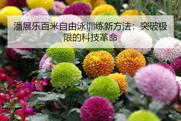 潘展乐百米自由泳训练新方法：突破极限的科技革命