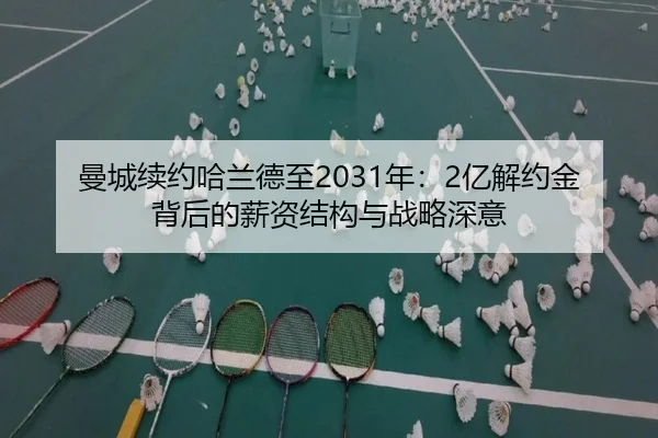 man-cheng-xu-yue-ha-lan-de-zhi-nian-yi-jie-yue-jin-bei-hou-de-xin-zi-jie-gou-yu-zhan-lve-shen-yi-2-688.jpg